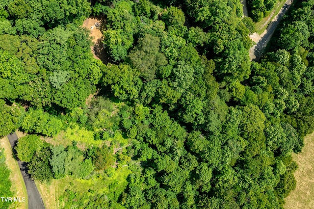 LOT32 Lake Ridge Rd, Butler, TN 37640 - photo 2