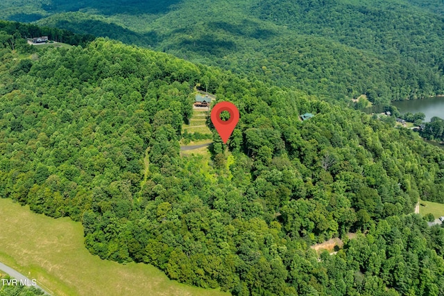 LOT32 Lake Ridge Rd, Butler, TN 37640 - photo 3
