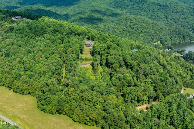 LOT32 Lake Ridge Rd, Butler, TN 37640 - photo 4