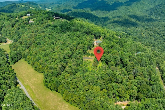 LOT32 Lake Ridge Rd, Butler, TN 37640 - photo 5
