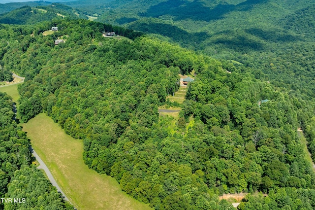 LOT32 Lake Ridge Rd, Butler, TN 37640 - photo 6