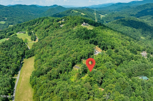 LOT32 Lake Ridge Rd, Butler, TN 37640 - photo 7