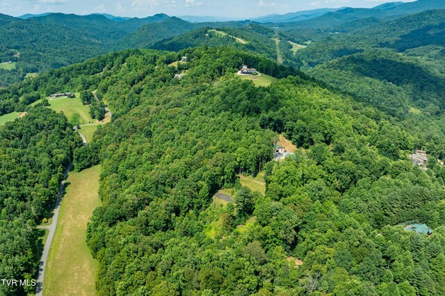 LOT32 Lake Ridge Rd, Butler, TN 37640 - photo 8