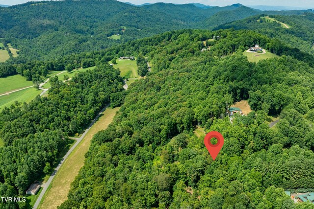 LOT32 Lake Ridge Rd, Butler, TN 37640 - photo 9