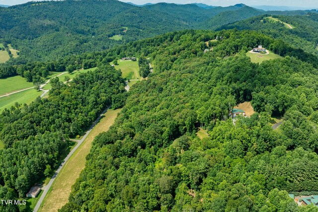 LOT32 Lake Ridge Rd, Butler, TN 37640 - photo 10