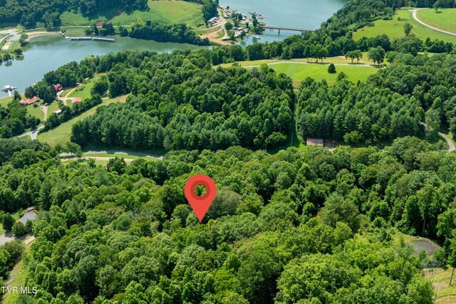 LOT32 Lake Ridge Rd, Butler, TN 37640 - photo 15