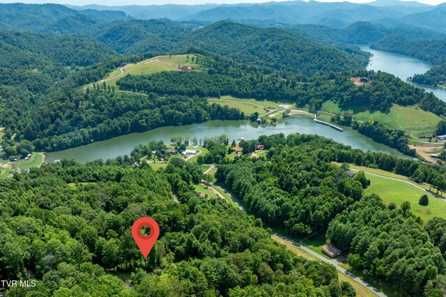 LOT32 Lake Ridge Rd, Butler, TN 37640 - photo 21