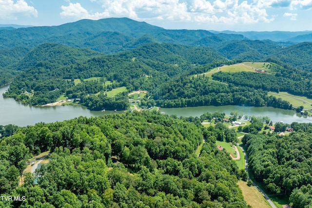 LOT32 Lake Ridge Rd, Butler, TN 37640 - photo 24