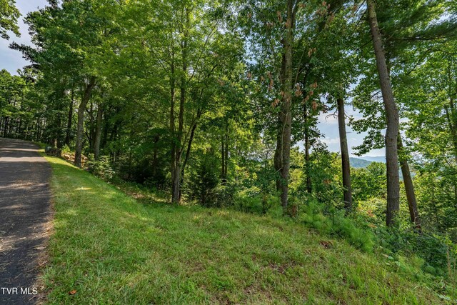 LOT32 Lake Ridge Rd, Butler, TN 37640 - photo 27