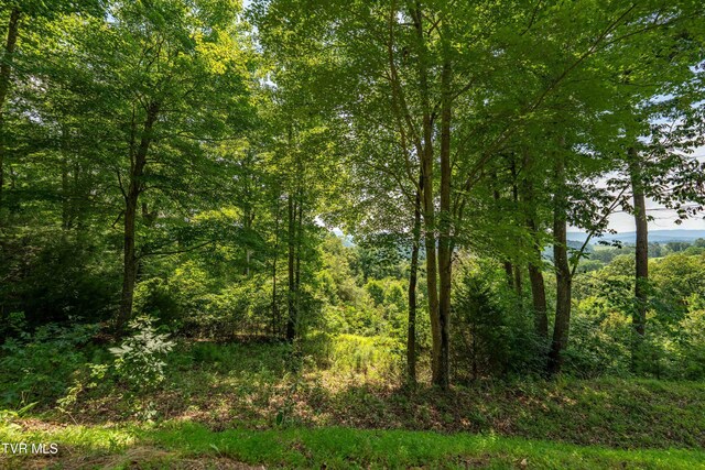 LOT32 Lake Ridge Rd, Butler, TN 37640 - photo 28