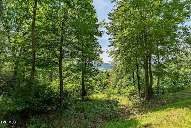 LOT32 Lake Ridge Rd, Butler, TN 37640 - photo 29