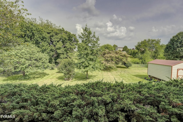 2146 Buttercup Ln, Limestone, TN 37681 - view of grassy yard featuring a storage unit