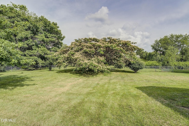 2146 Buttercup Ln, Limestone, TN 37681 - view of yard