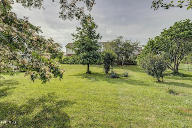 2146 Buttercup Ln, Limestone, TN 37681 - view of grassy yard