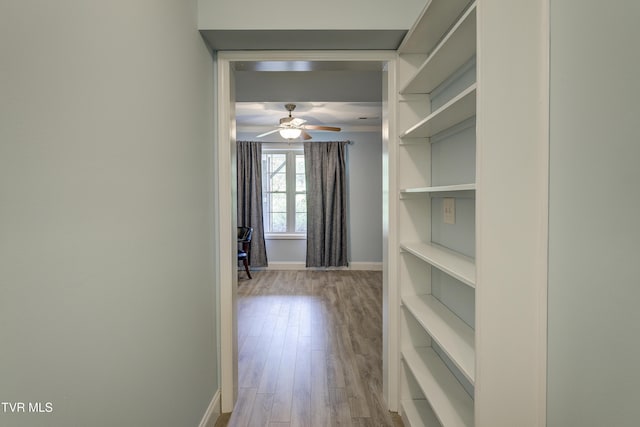 2146 Buttercup Ln, Limestone, TN 37681 - corridor with baseboards and wood finished floors