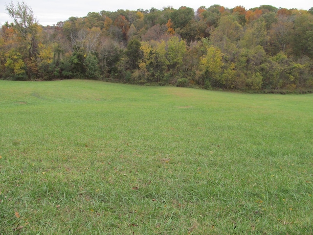 793 S Pickens Bridge Rd, Gray, TN 37615 - photo 1