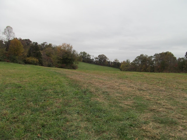 793 S Pickens Bridge Rd, Gray, TN 37615 - photo 2