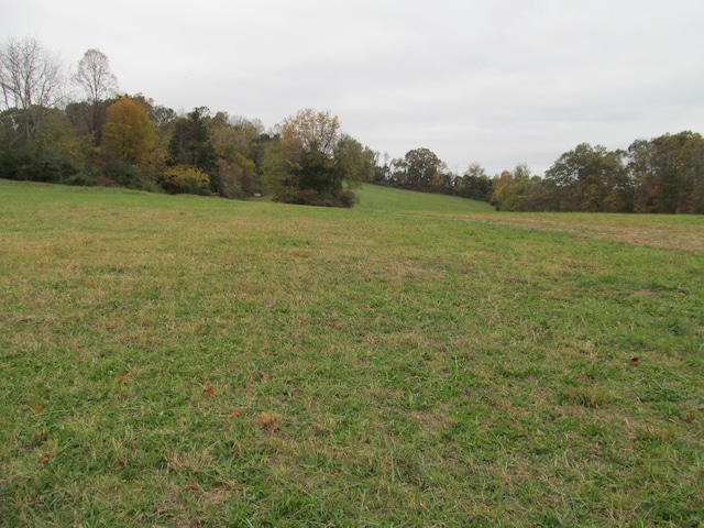 793 S Pickens Bridge Rd, Gray, TN 37615 - photo 3