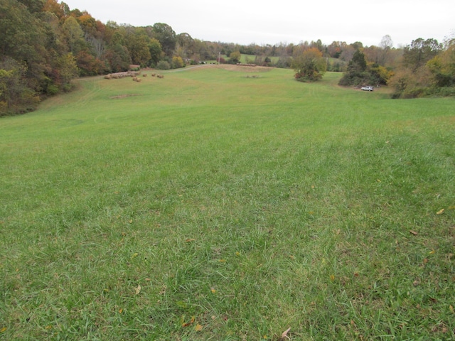 793 S Pickens Bridge Rd, Gray, TN 37615 - photo 4