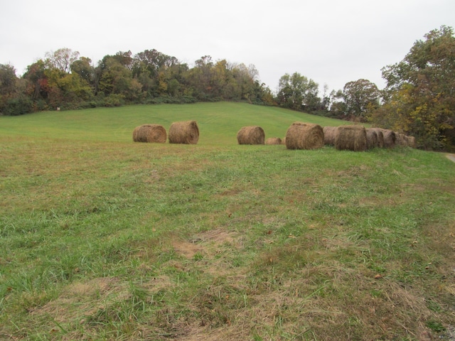 793 S Pickens Bridge Rd, Gray, TN 37615 - photo 6