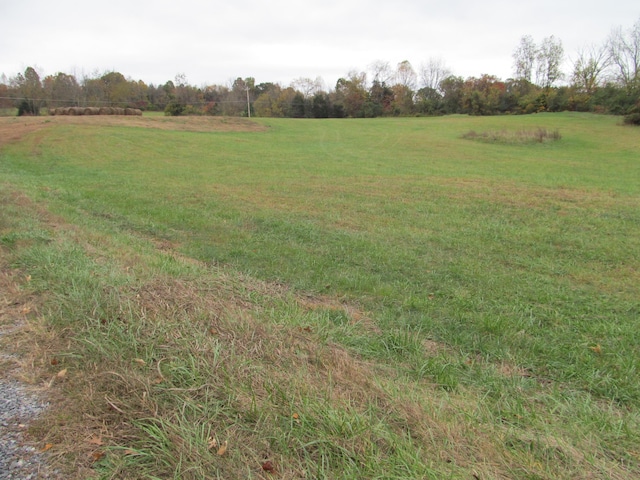 793 S Pickens Bridge Rd, Gray, TN 37615 - photo 7