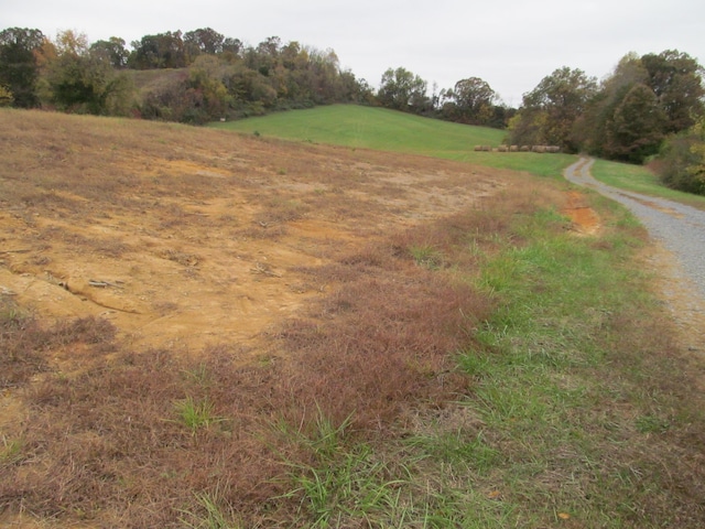 793 S Pickens Bridge Rd, Gray, TN 37615 - photo 8