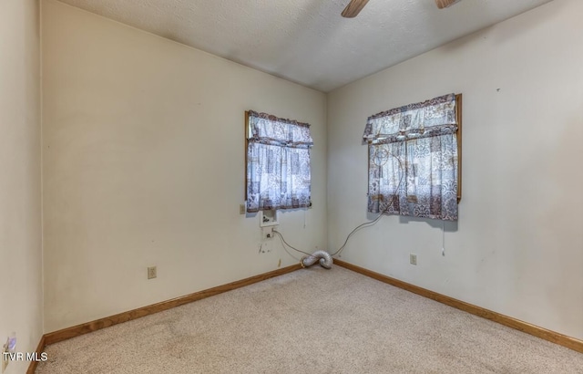 305 Hedge Dr, Kingsport, TN 37660 - photo 30