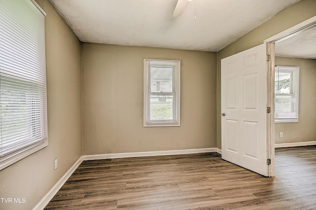 364 Glen Ave, Kingsport, TN 37665 - photo 30