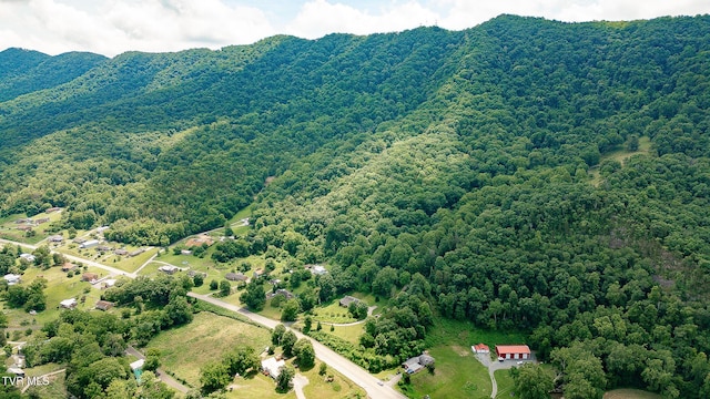 0 Nickelsville Hwy, Gate City, VA 24251 - photo 3