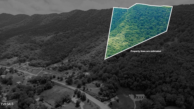 0 Nickelsville Hwy, Gate City, VA 24251 - photo 2