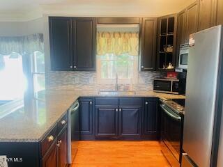 504 Amelia Ct, Blountville, TN 37617 - kitchen featuring stainless steel appliances, tasteful backsplash, a peninsula, and light wood-style flooring