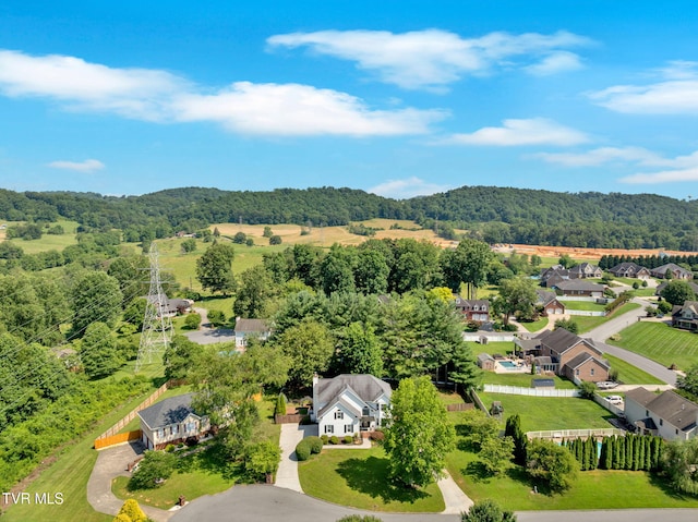 504 Amelia Ct, Blountville, TN 37617 - aerial perspective of suburban area with a forest