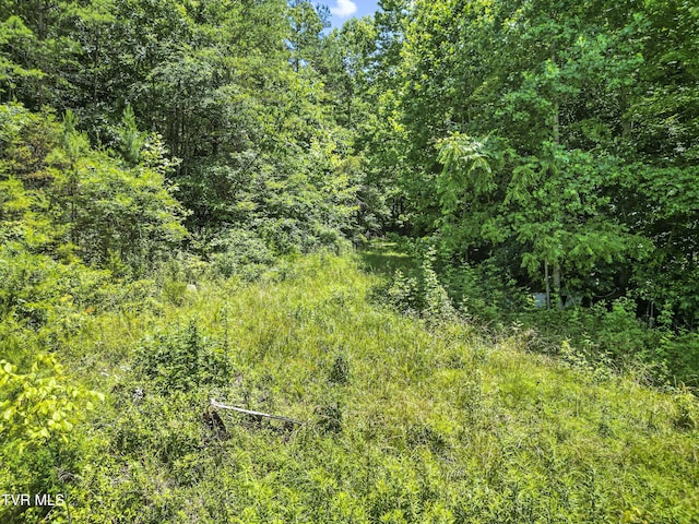 1103 Speedwell Rd, Bulls Gap, TN 37711 - photo 2