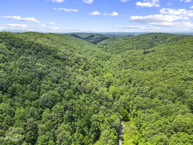 1103 Speedwell Rd, Bulls Gap, TN 37711 - photo 3
