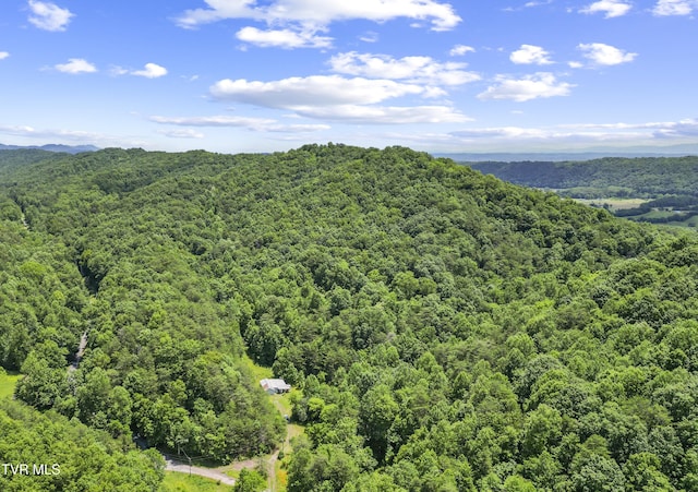 1103 Speedwell Rd, Bulls Gap, TN 37711 - photo 4