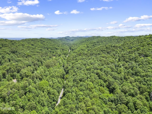 1103 Speedwell Rd, Bulls Gap, TN 37711 - photo 5