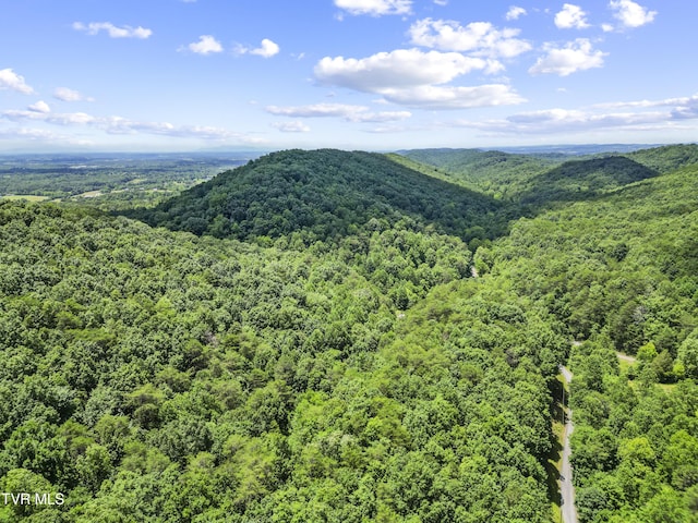 1103 Speedwell Rd, Bulls Gap, TN 37711 - photo 6