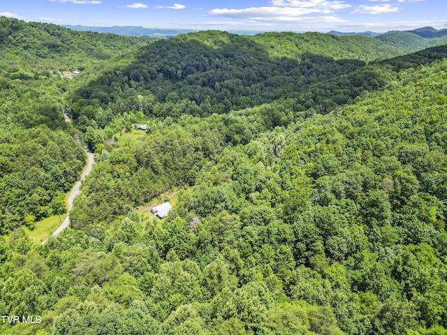 1103 Speedwell Rd, Bulls Gap, TN 37711 - photo 7