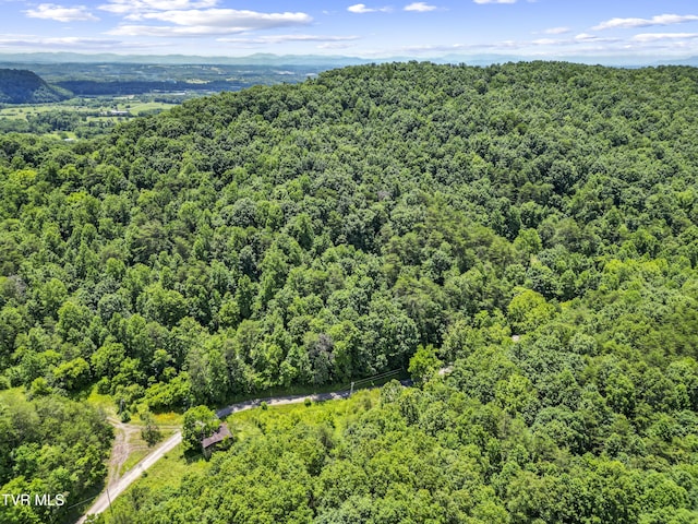 1103 Speedwell Rd, Bulls Gap, TN 37711 - photo 9