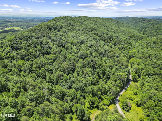 1103 Speedwell Rd, Bulls Gap, TN 37711 - photo 10