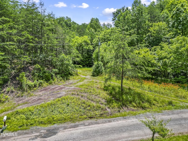 1103 Speedwell Rd, Bulls Gap, TN 37711 - photo 12