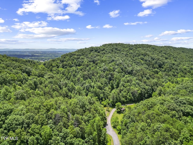1103 Speedwell Rd, Bulls Gap, TN 37711 - photo 13