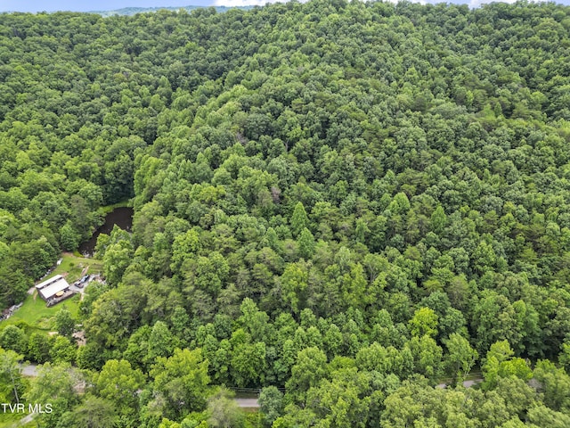 1103 Speedwell Rd, Bulls Gap, TN 37711 - photo 16
