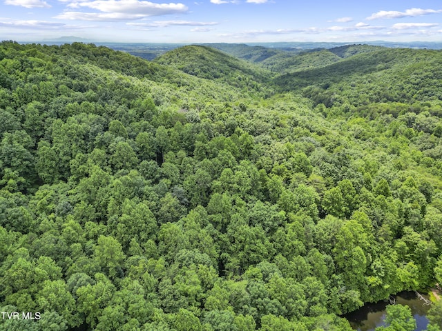 1103 Speedwell Rd, Bulls Gap, TN 37711 - photo 17