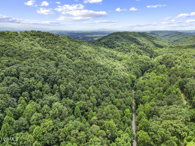 1103 Speedwell Rd, Bulls Gap, TN 37711 - photo 18