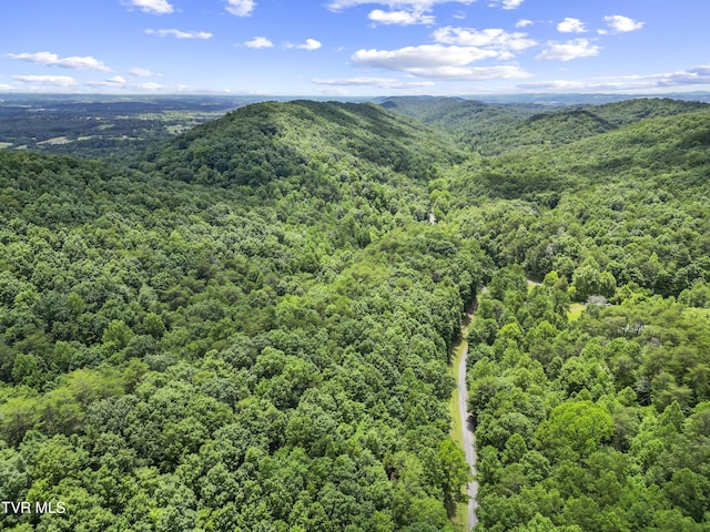 1103 Speedwell Rd, Bulls Gap, TN 37711 - photo 19