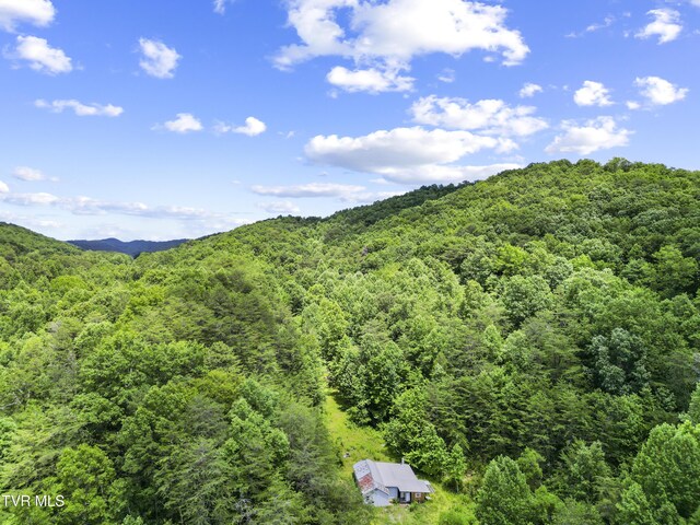 1103 Speedwell Rd, Bulls Gap, TN 37711 - photo 22