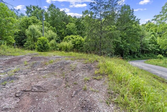 1103 Speedwell Rd, Bulls Gap, TN 37711 - photo 23