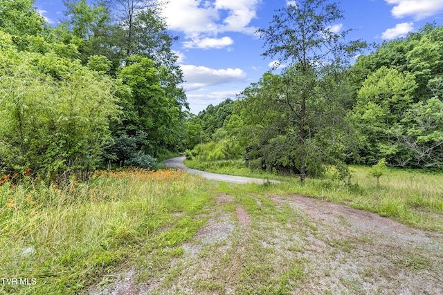 1103 Speedwell Rd, Bulls Gap, TN 37711 - photo 24