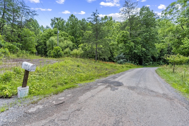 1103 Speedwell Rd, Bulls Gap, TN 37711 - photo 26